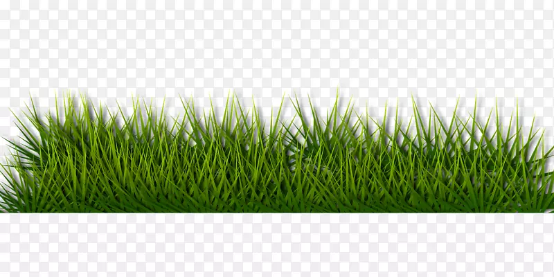 草坪割草机人工草坪花园绿色
