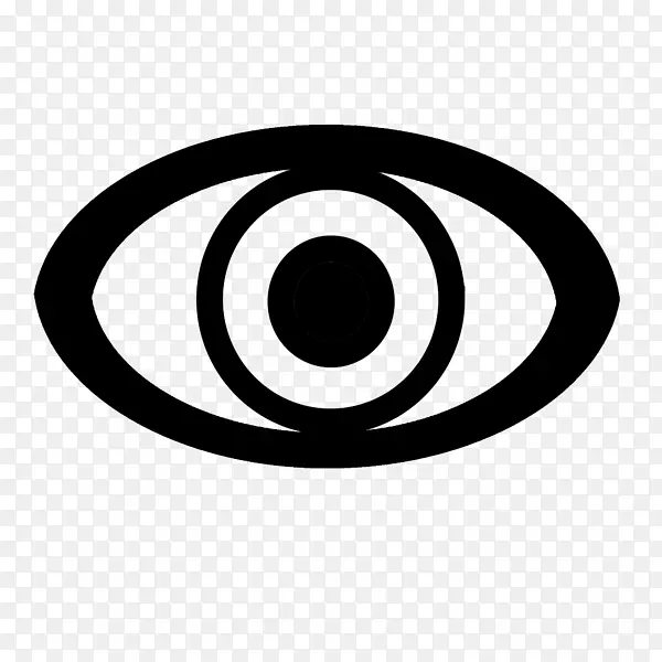 计算机图标眼睛视觉感知眼睛