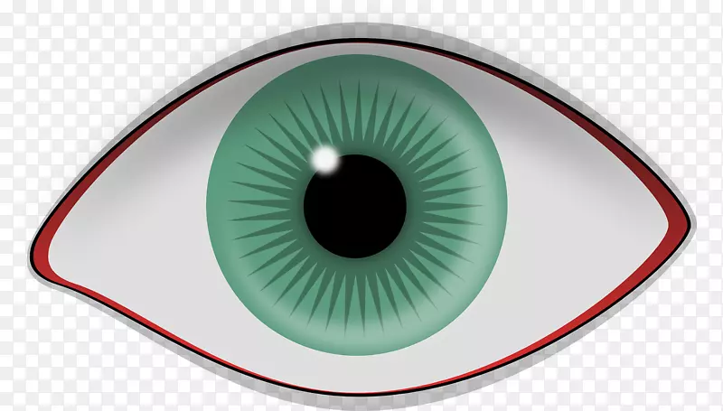人眼视网膜虹膜视觉知觉