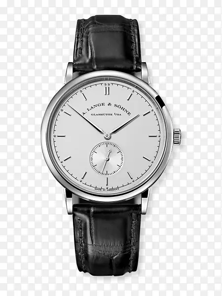 Alpina手表，计时表，服装，Tissot表
