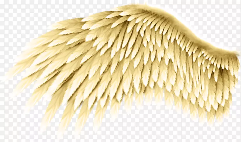 羽翼-艺术羽毛-羽毛