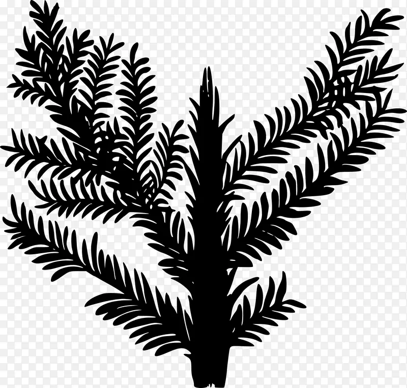 古生代三叠纪植物剪影PNG图片素材下载_图片编号2800849-PNG素材网
