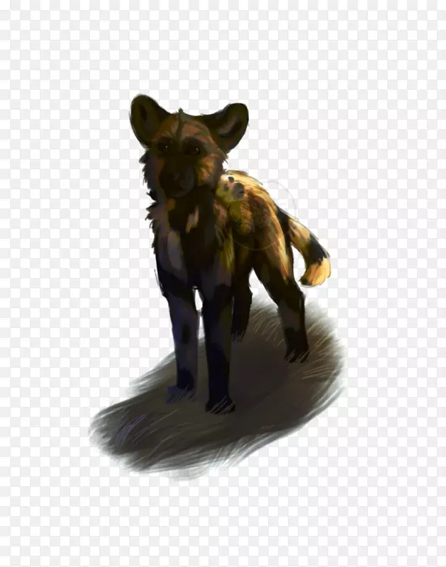 犬科狗，毛皮，鼻子，-野狗
