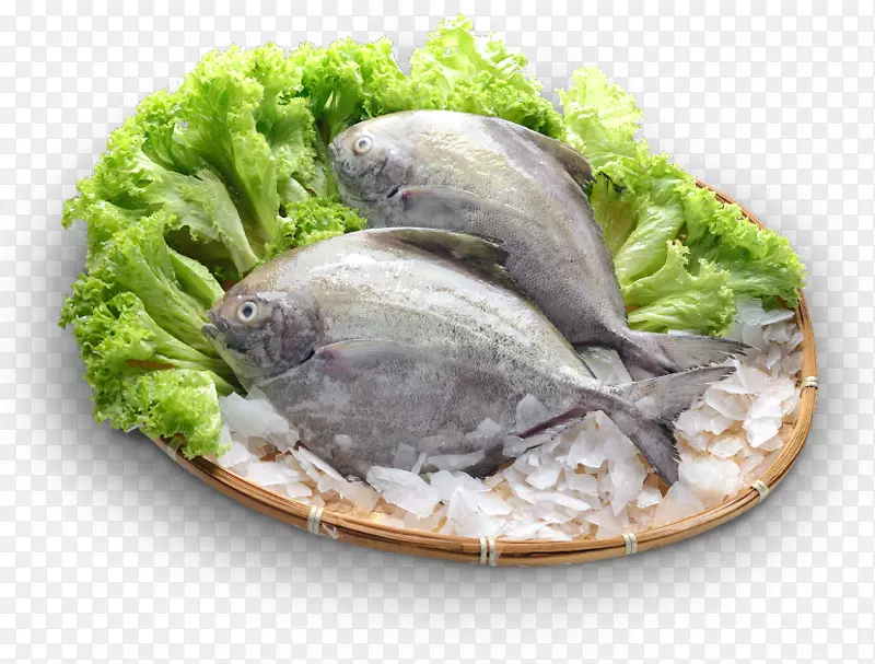鱼类制品贻贝配方餐具-鱼群