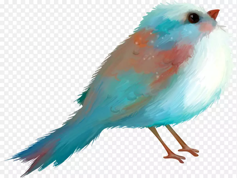 鸟蓝画绿松石-鸟