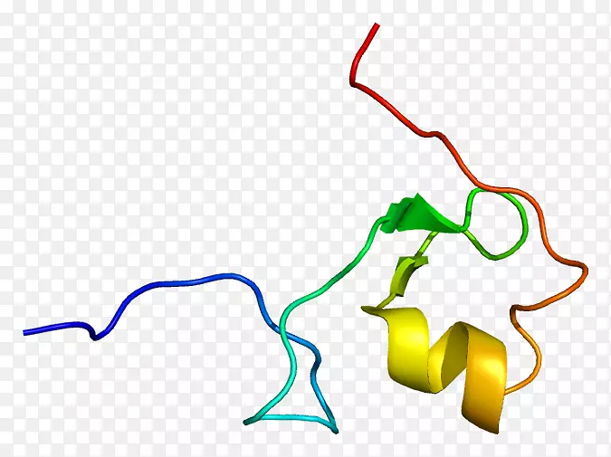 MID 1无名指蛋白5假基因1 rnf5p1-微RNA