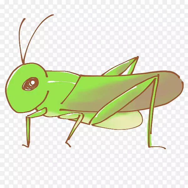 昆虫Caelifera虫剪贴画-昆虫