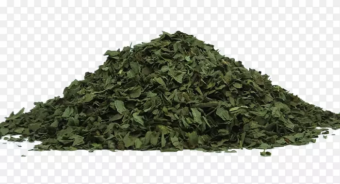 草药茶保健输液.绿茶