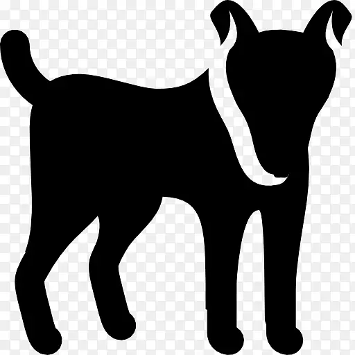 小狗粗糙牧羊犬电脑图标阿拉斯加马拉默特狗书-小狗