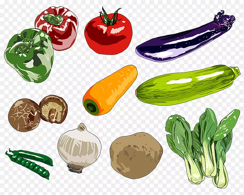 食品制图数字绘画艺术-蔬菜
