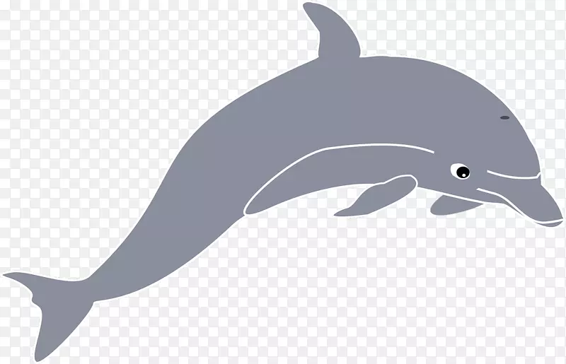 普通宽吻海豚剪贴画-海豚
