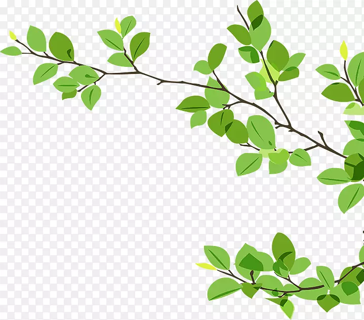 枝条剪艺术-绿叶枝
