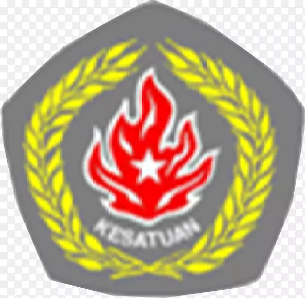 SMA Kesatuan Bogor Sekolah Kesatuan Bogor Kesatuan初中Bogor标识koperasi Sekolah kesatuan-Northrop yf 17