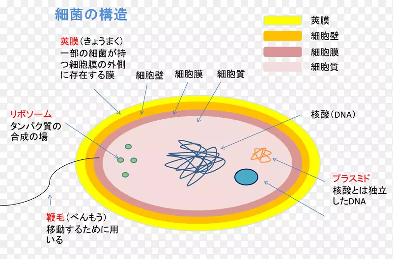 直线角线