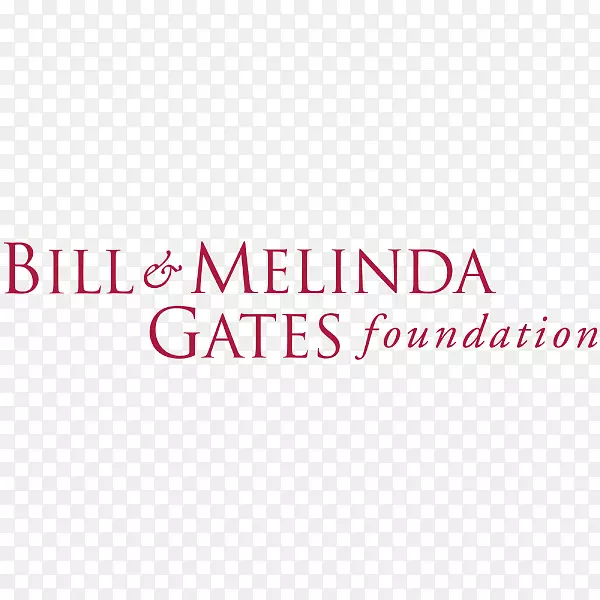 比尔和梅林达盖茨基金会周二给予组织捐赠-比尔盖茨
