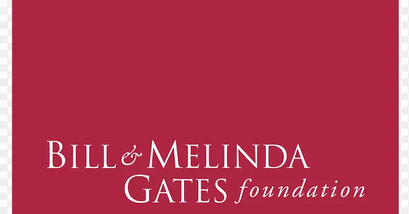 比尔和梅林达盖茨基金会私人基金会盖茨家庭组织-比尔盖茨