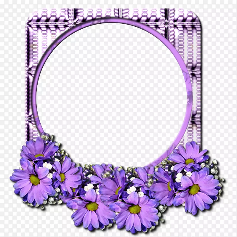 相框摄影花卉设计紫丁香