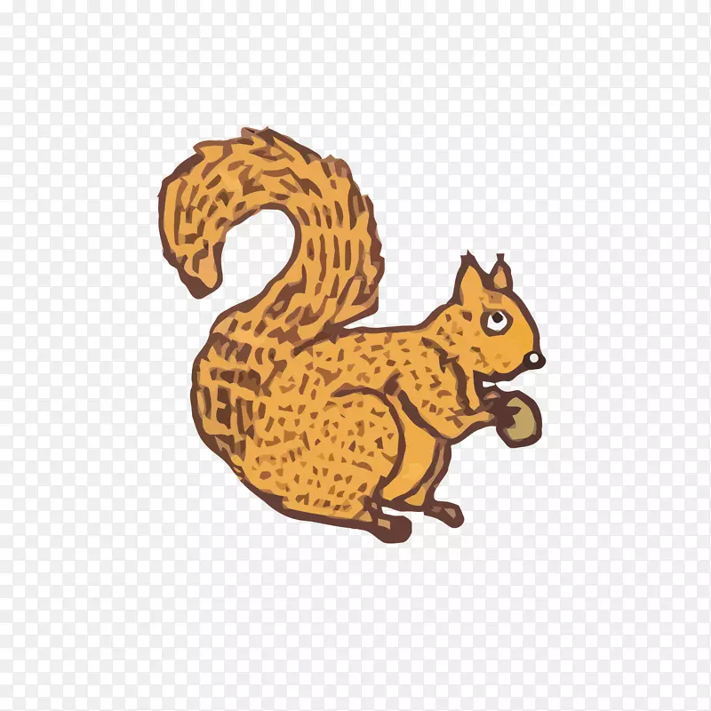 波兰猫画松鼠-猫