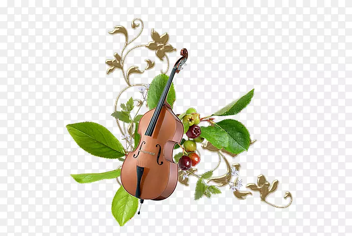 小提琴花乐器.小提琴