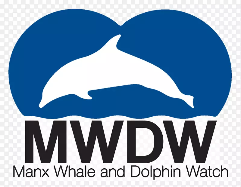马克斯鲸鱼和海豚观察海豚鲸鱼和海豚保护协会