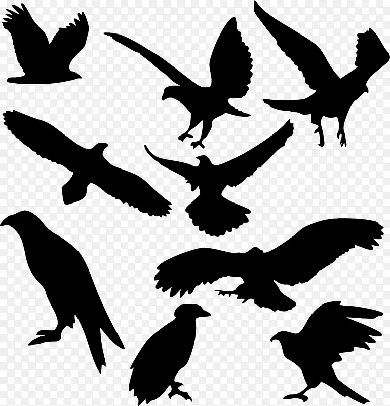 鸟类艺术剪贴画-鸟