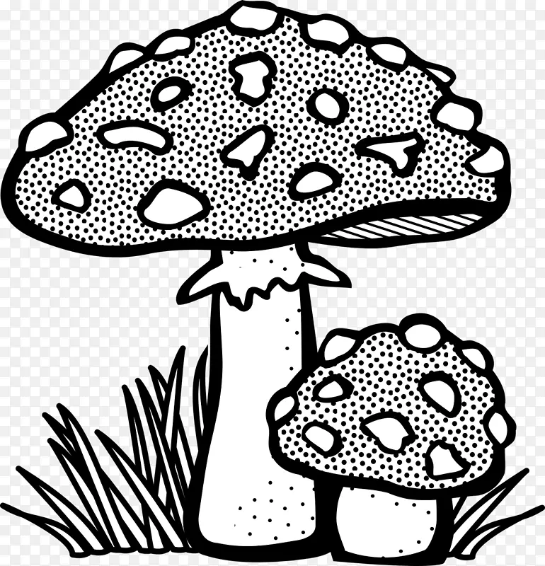 蘑菇画线艺术木耳剪贴画-蘑菇