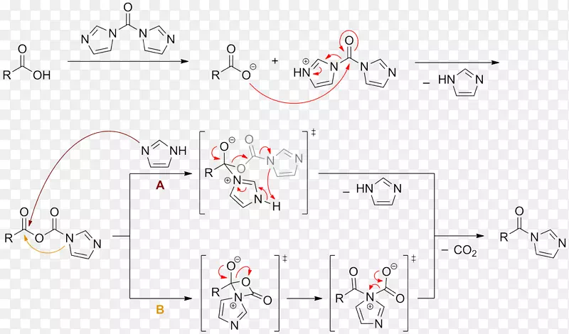 羰基二咪唑化学反应偶联反应肽合成