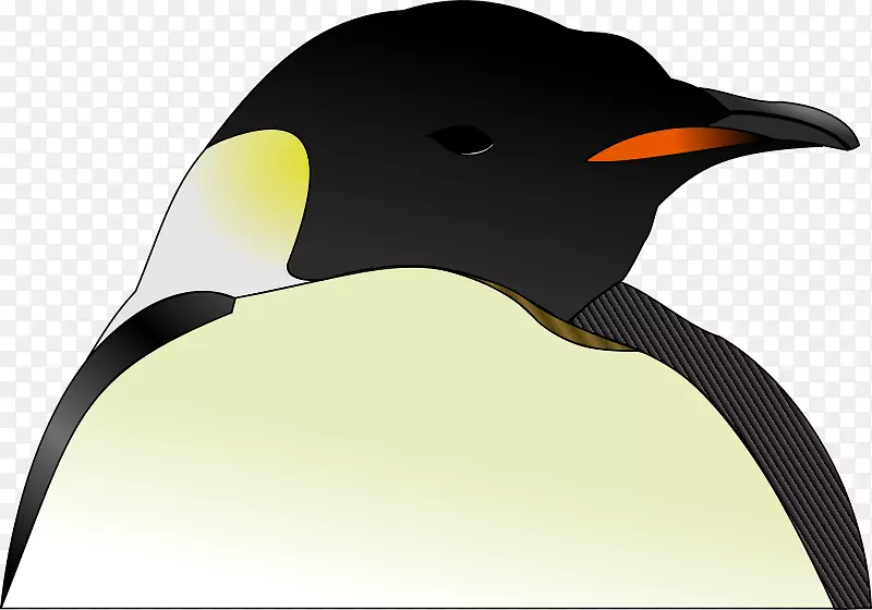 国王企鹅科瓦尔斯基鸟船长-企鹅