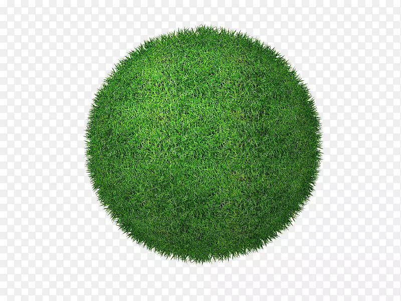 草坪绿草