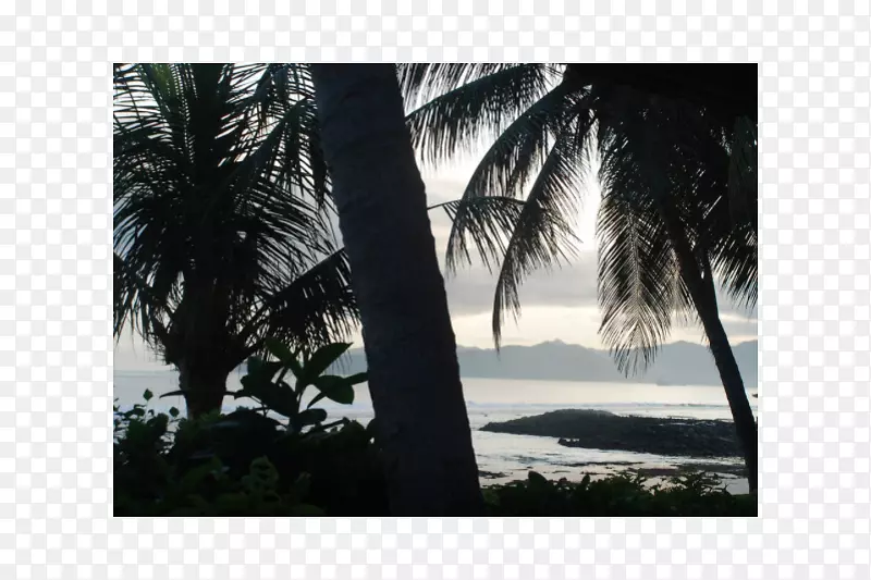 槟榔科图片框-印度尼西亚巴厘岛