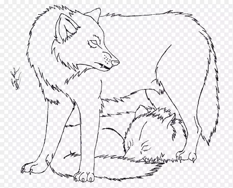 灰狼红狐鼻子线画-照片