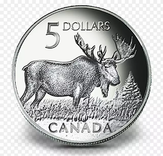 鹿、麋鹿、加拿大硬币-加元