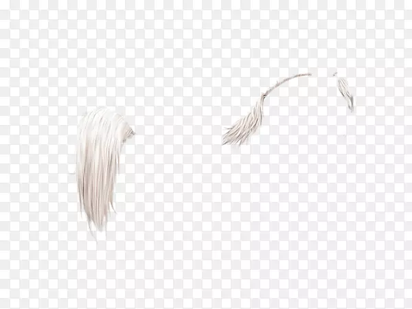 白羽颈-阿拉伯马