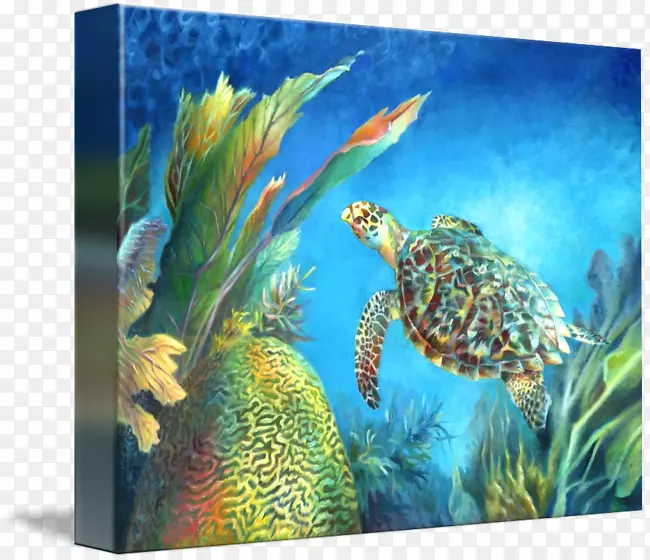海龟珊瑚礁鱼海洋生物生态系统-鹰嘴海龟