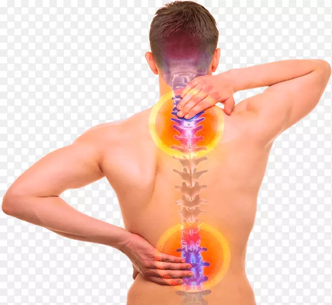 背痛脊柱人背部人体骨-脊柱疼痛研究所