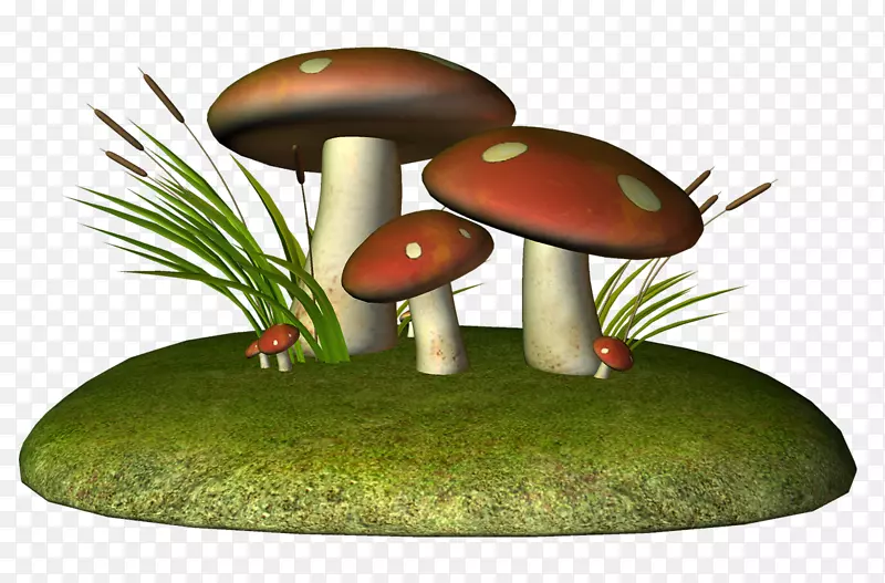 画真菌蘑菇铅笔-蘑菇