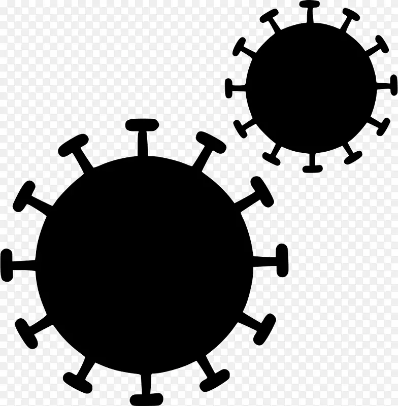 寨卡病毒分类感染病毒包膜载体