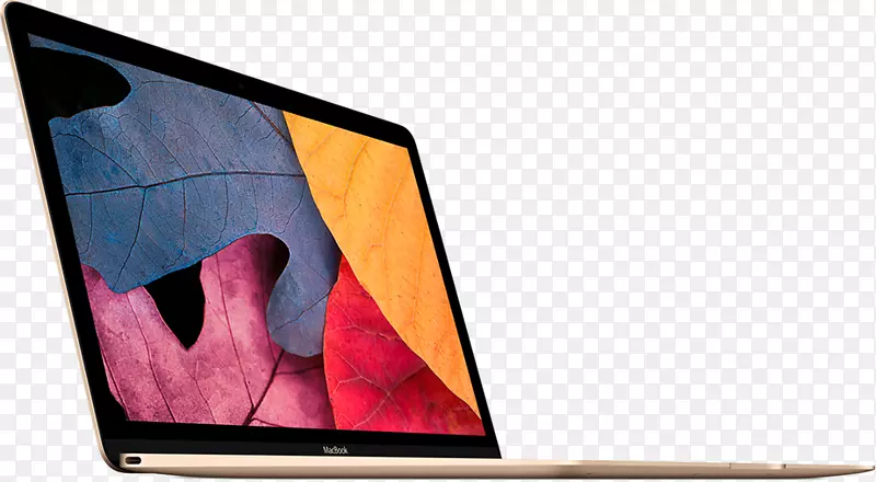 笔记本电脑专业MacBook Air Apple MacBook(视网膜，12“，2017年)-笔记本电脑