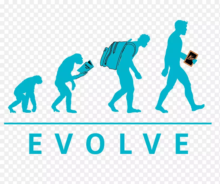 人类进化过渡化石进化计算古生物学-霍顿学院