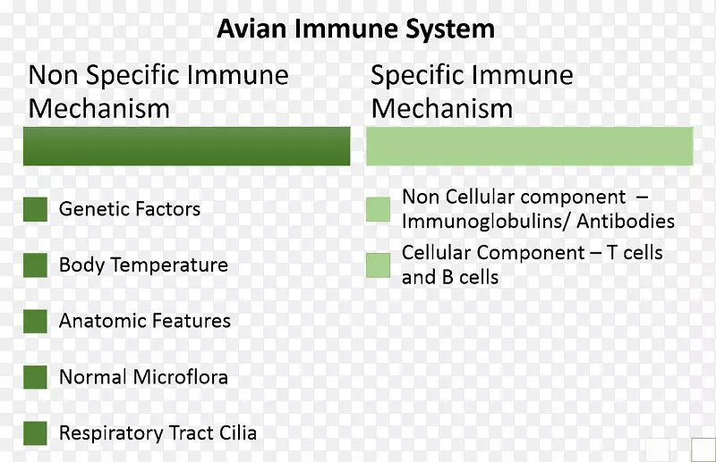 禽类免疫系统适应性免疫系统免疫肠道菌群免疫系统