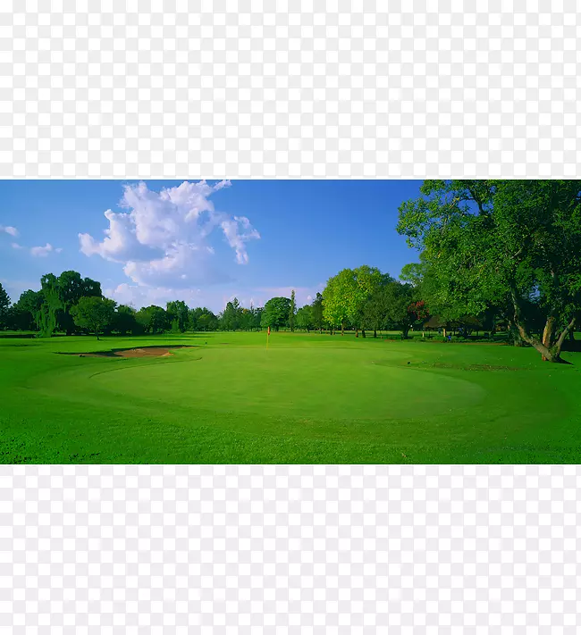 高尔夫球场高尔夫俱乐部草地休闲高尔夫