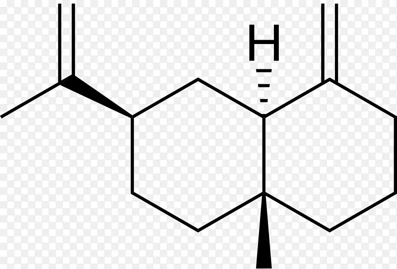 化学配方化学分子化合物亮氨酸