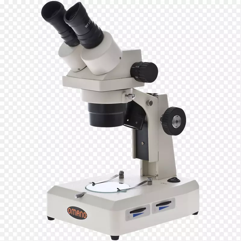 立体显微镜光学共聚焦显微镜立体显微镜