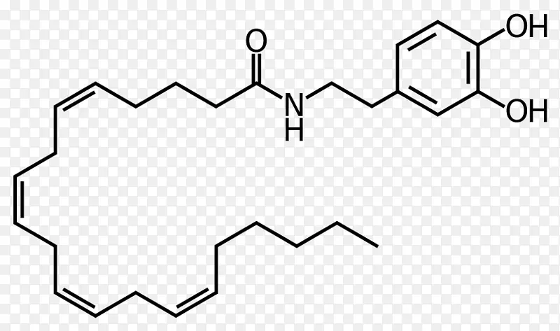离子通道吡啶药物科学