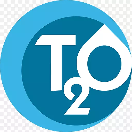 T2O媒体广告代理病毒性营销媒体购买-Hosur