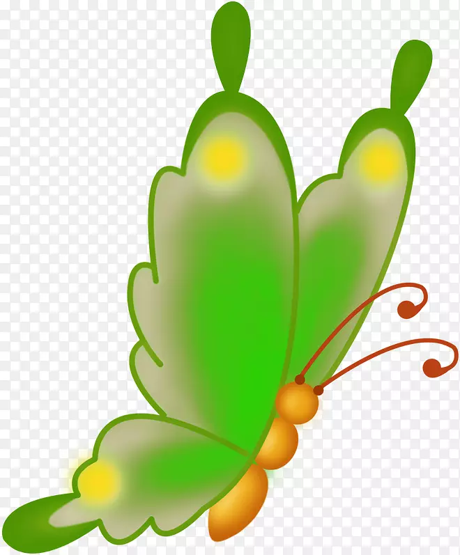 昆虫蝴蝶和飞蛾植物茎夹艺术.昆虫