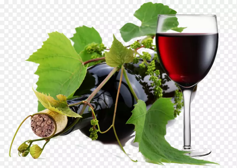 红葡萄酒黑比诺葡萄酒瓶-葡萄酒
