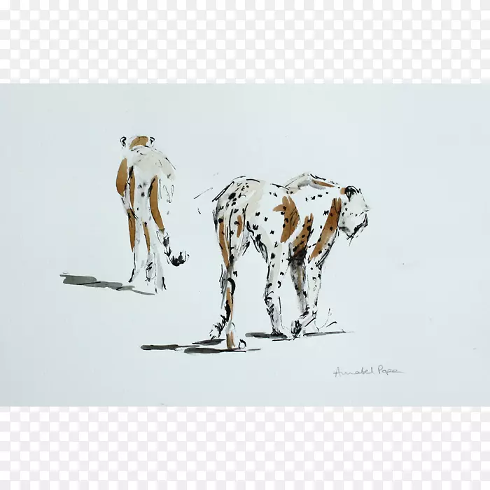 达尔马提亚犬长颈鹿画/m/02csf-长颈鹿