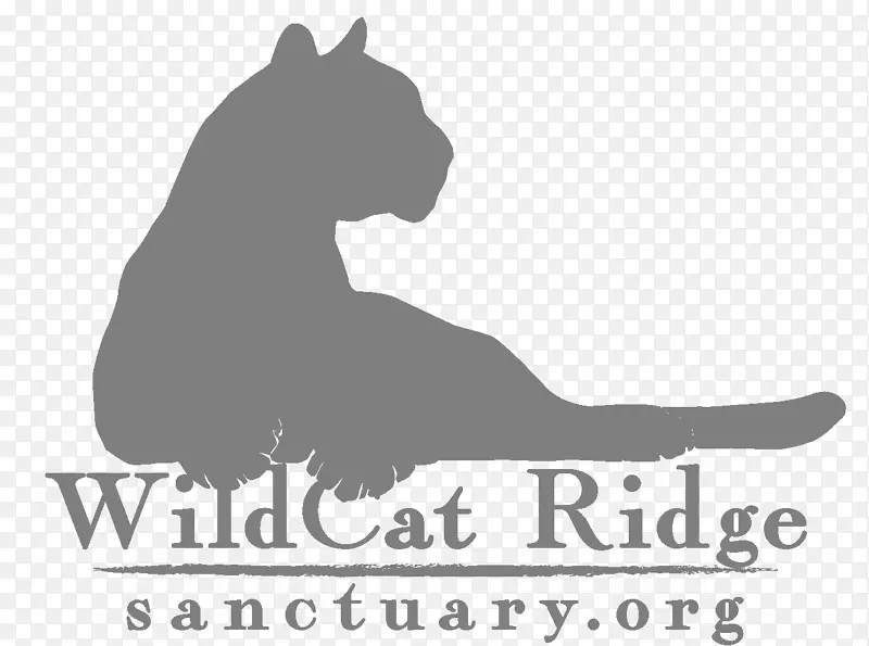 野猫黑松动物保护区