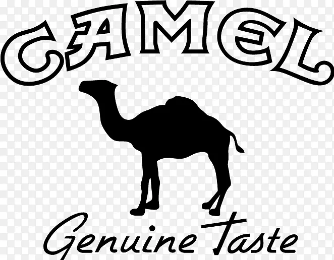 鸭舌兰标志封装的PostScript-骆驼